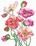 (image for) Wild Poppies Counted Cross Stitch Kit